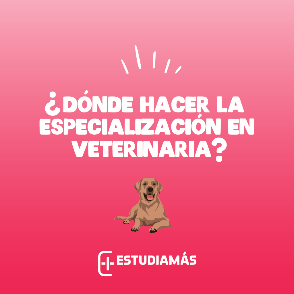 ¿Dónde hacer la especialidad de veterinaria?