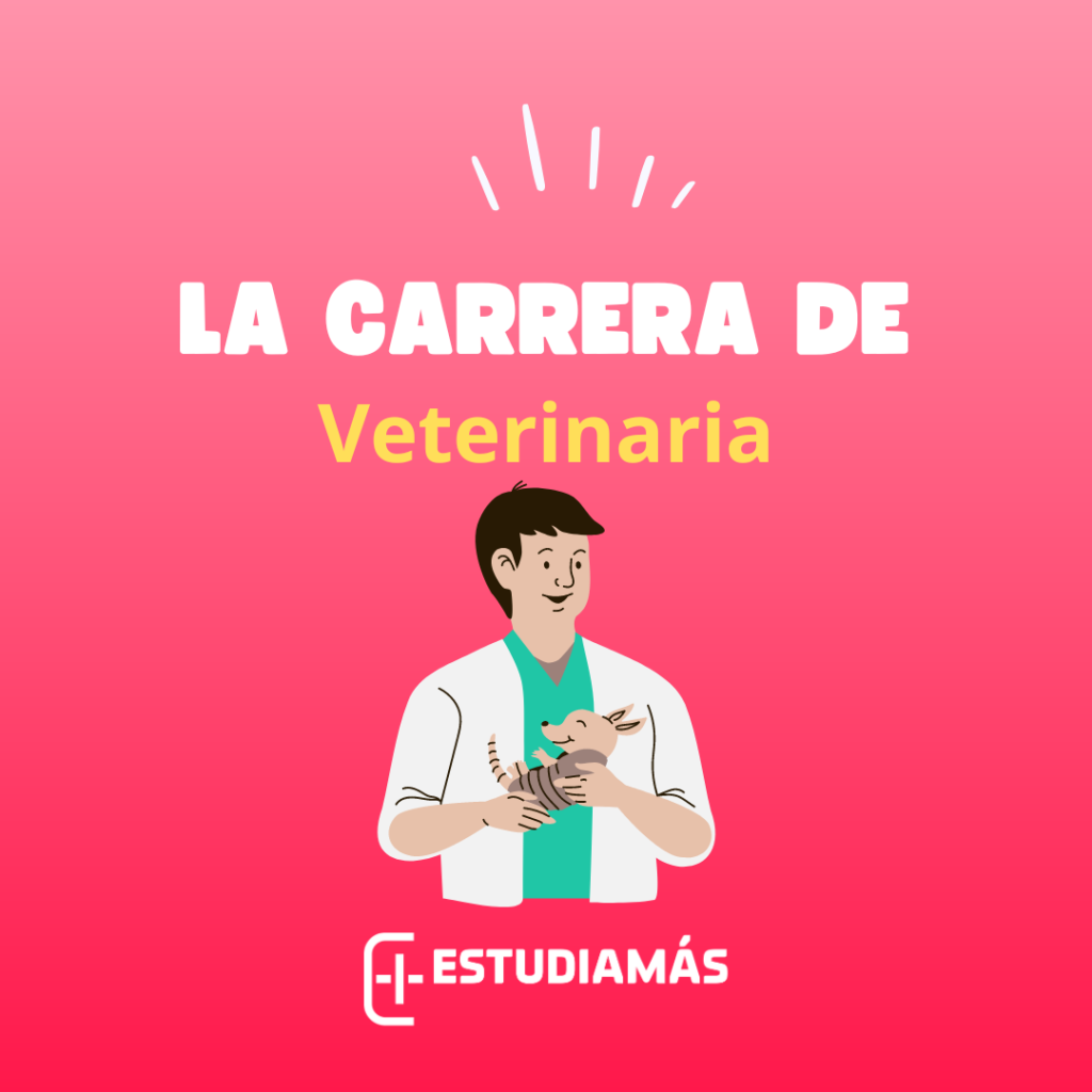La carrera de veterinaria